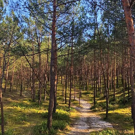 Z Prywatnym Tarasem Na Dachu Ogien 8 Apartamento