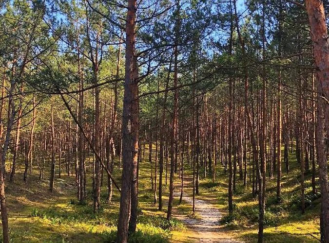 Z Prywatnym Tarasem Na Dachu Ogien 8 Апартаменты